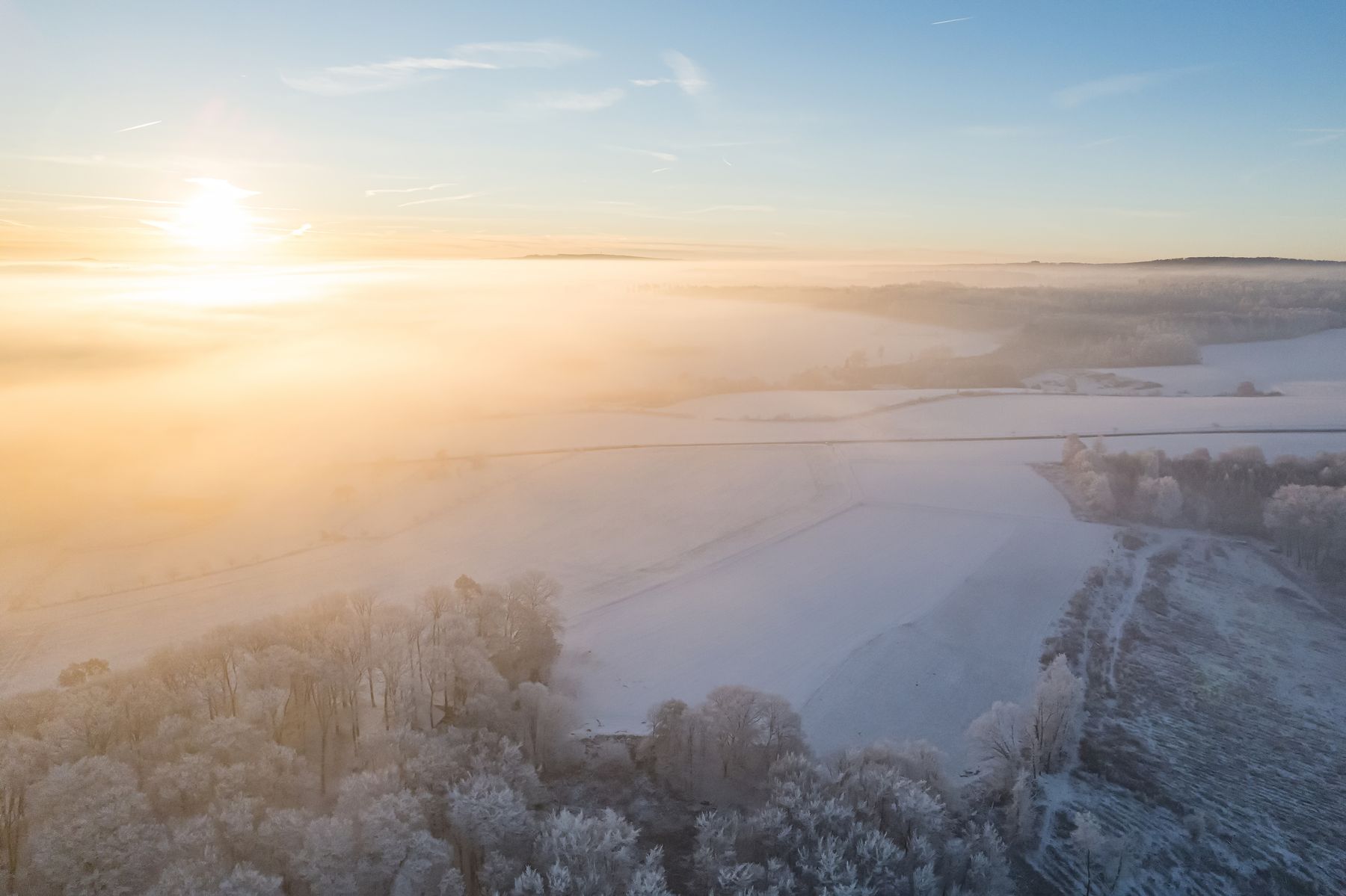 Eine Winterlandschaft bei Sonnenaufgang, mit Feldern und Bäumen, die mit Frost bedeckt sind. Eine Nebelschicht und goldenes Sonnenlicht erzeugen einen weichen, leuchtenden Effekt in der Landschaft.